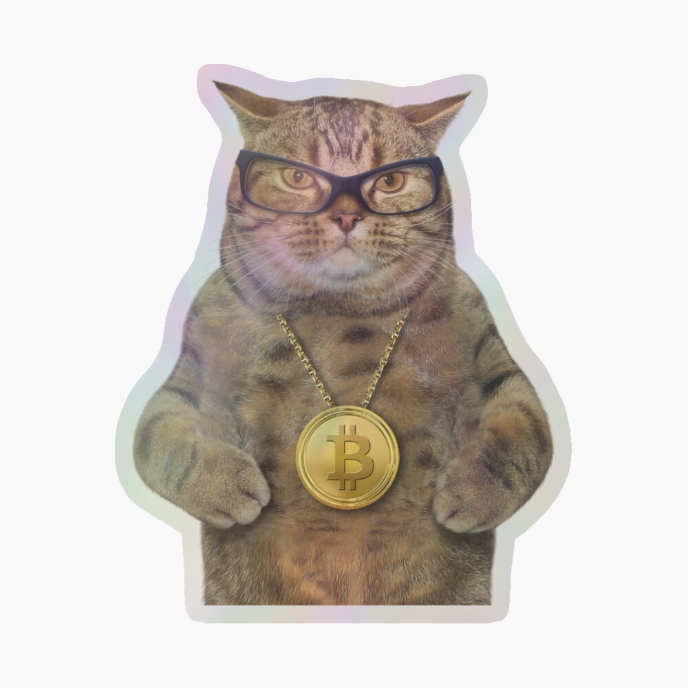 Bitcoin Cat