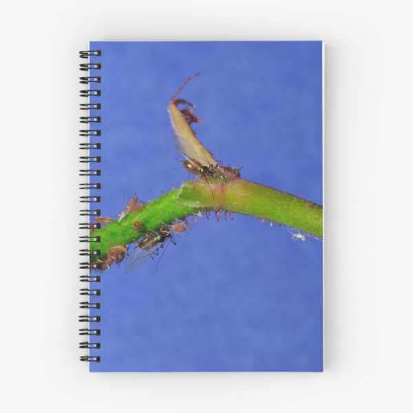 Item preview, Rose Aphids designed and sold by Eyal Nahmias.