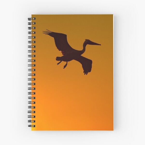 Item preview, Flight of the Pelican designed and sold by Eyal Nahmias.