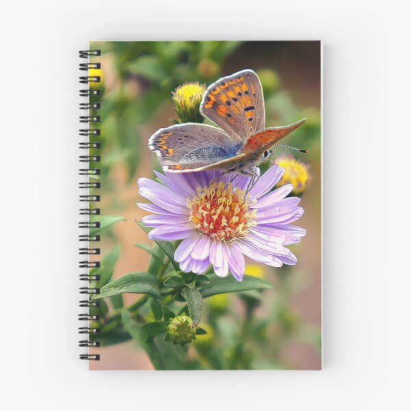 Item preview, Butterfly hives on a September flower. designed and sold by Mikhail12358.
