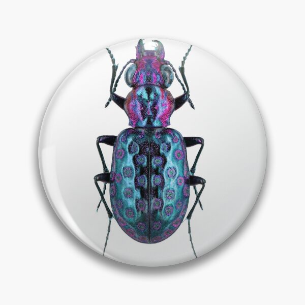 Item preview, Elaphrus pyrenoeus Beauriful Bugs designed and sold by MatildaWatson.