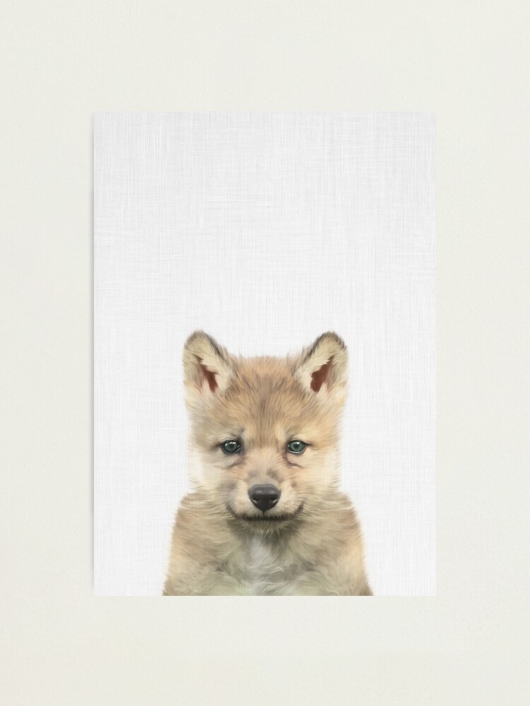 Impression Photo Bebe Loup Art Illustration De Loup Bebe Animal Animal Mignon Animal Des Bois Par Taiprints Redbubble