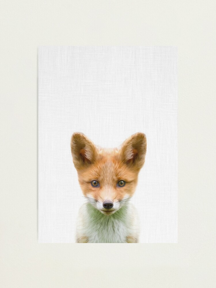 Impression Photo Bebe Renard Art Bebe Animal Impression De Renard Animal Art Illustration Par Taiprints Redbubble