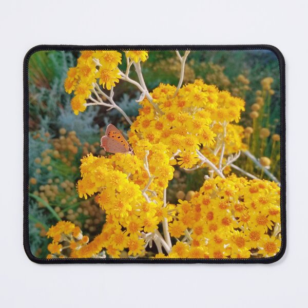 Item preview, A painted lady on small yellow flowers designed and sold by helenkaiy.