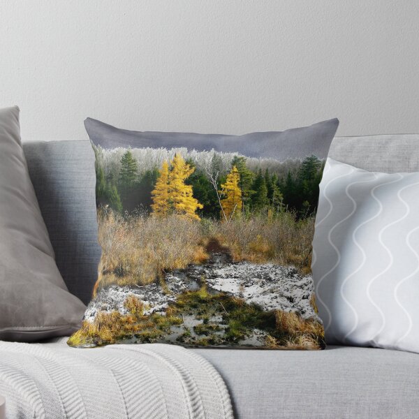 Item preview, Baker River Valley Poster designed and sold by Wayne King.