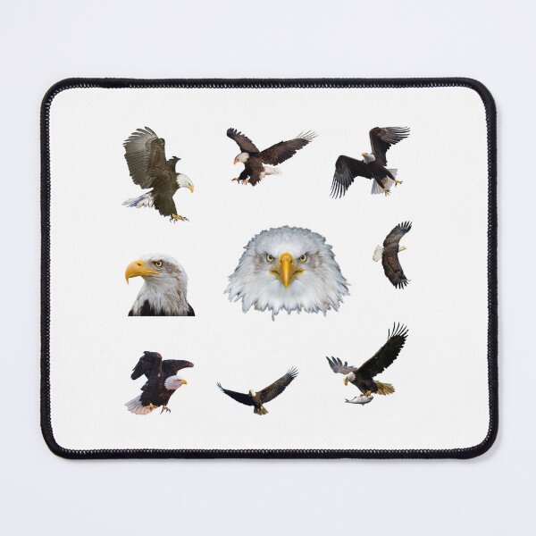 Item preview, Eagle pack designed and sold by starseedgems.