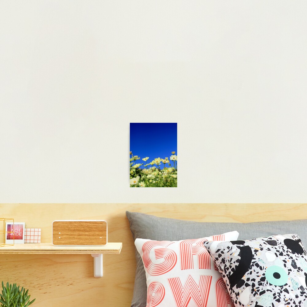 Item preview, Photographic Print designed and sold by beverlyclaire.