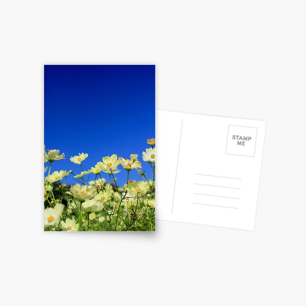 Item preview, Postcard designed and sold by beverlyclaire.