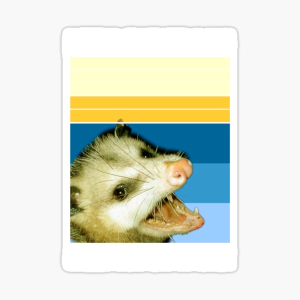 Opossum Auto-Zubehör, Dashboard-Dekor, Plüsch-Possum, Autodekoration,  Rückspiegelcharme, Geschenk für Frauen, niedliches Auto-Interieur - .de