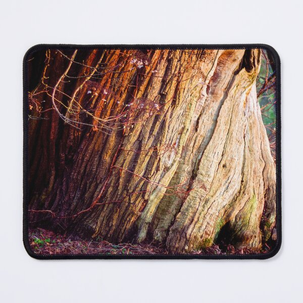 Item preview, Twisted Trunk of a Sweet Chestnut Tree designed and sold by FOLK ART FUSION by heidiannemorris.