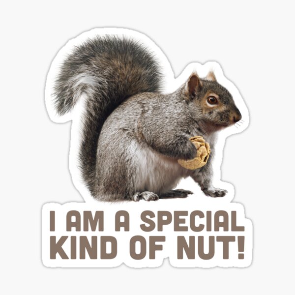 I'm a special kind of nut!