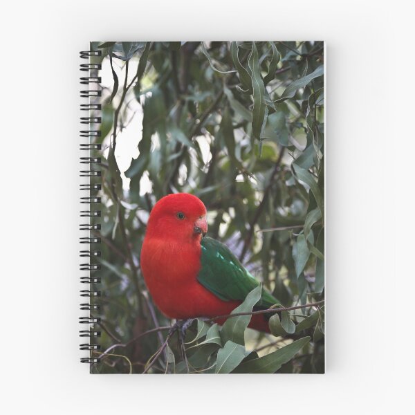 Item preview, Australian King Parrot - Healesville Sanctuary designed and sold by DavidONeill.