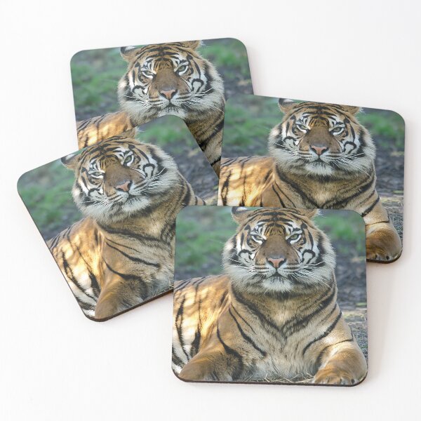 Item preview, Amur Tiger designed and sold by Darren Wilkes.