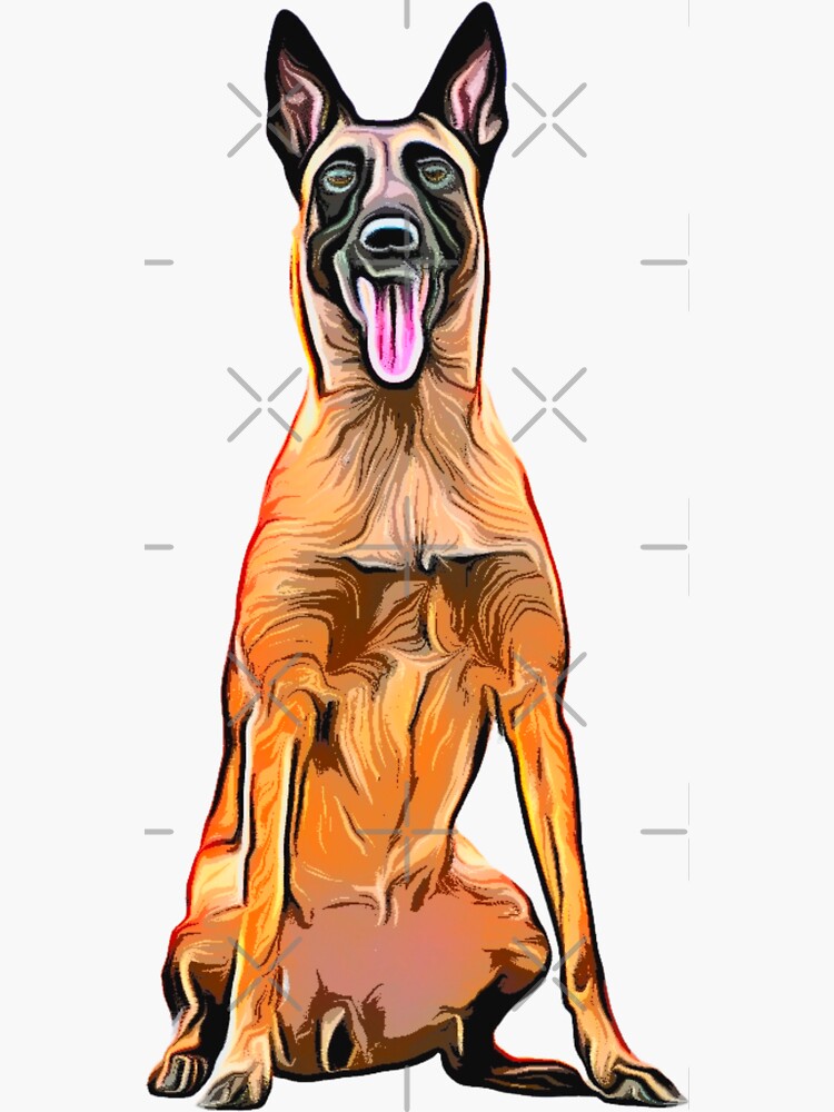 Belgian Malinois Sticker  Belgian Malinois Sticker