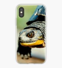 Mr turtle..how many licks does it take to get to the center of a toosie pop? iPhone Case