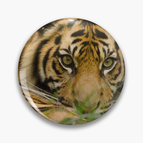 Item preview, Bright Eyes designed and sold by Darren Wilkes.