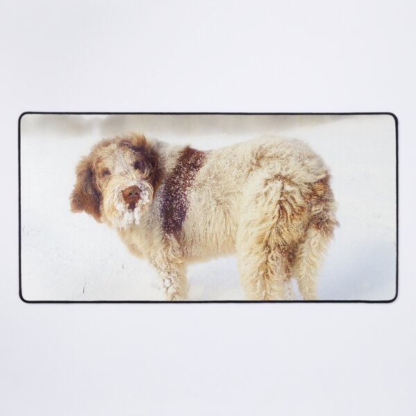 Item preview, Spinone in a Snowstorm designed and sold by FOLK ART FUSION by heidiannemorris.