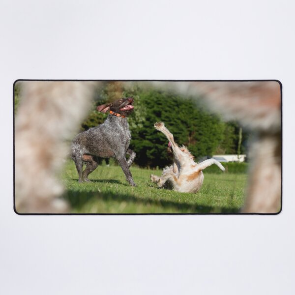 Item preview, Oops-A-Daisy Spinone designed and sold by FOLK ART FUSION by heidiannemorris.