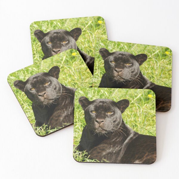 Item preview, Black Beauty designed and sold by Darren Wilkes.