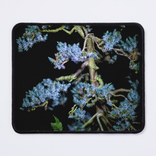 Item preview, Bonsai Juniperus Meyeri At Night designed and sold by FOLK ART FUSION by heidiannemorris.