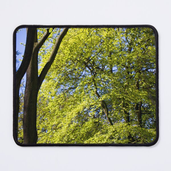 Item preview, Spring green Beech tree leaves designed and sold by FOLK ART FUSION by heidiannemorris.