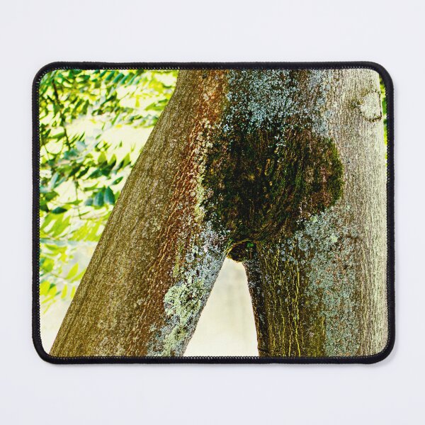 Item preview, Tree Legs designed and sold by FOLK ART FUSION by heidiannemorris.