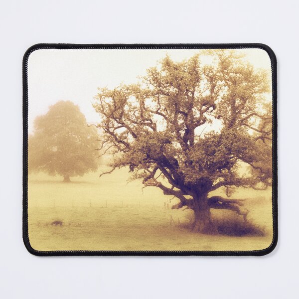 Item preview, The Mighty Oak designed and sold by FOLK ART FUSION by heidiannemorris.