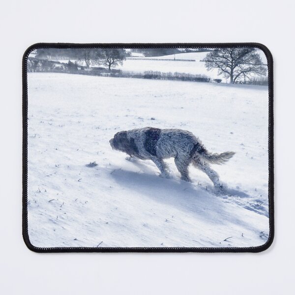 Item preview, Snow blizzard Spinone  designed and sold by FOLK ART FUSION by heidiannemorris.
