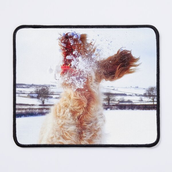 Item preview, Italian Spinone Leaping Catching Snow designed and sold by FOLK ART FUSION by heidiannemorris.