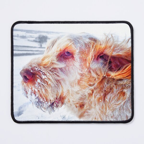 Item preview, Windswept snowstorm Spinone designed and sold by FOLK ART FUSION by heidiannemorris.