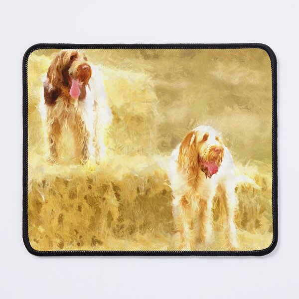 Item preview, Straw bales Spinoni by heidiannemorris designed and sold by FOLK ART FUSION by heidiannemorris.