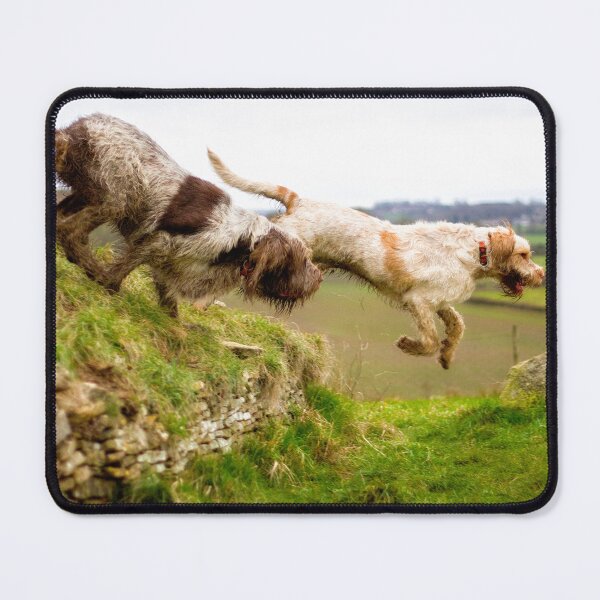 Item preview, Leaping off a Long Barrow Spinoni by heidiannemorris designed and sold by FOLK ART FUSION by heidiannemorris.