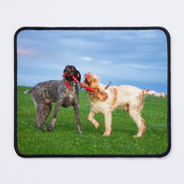 Item preview, Sausage Wars Spinone designed and sold by FOLK ART FUSION by heidiannemorris.
