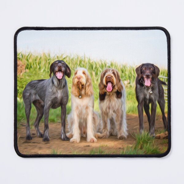 Item preview, German Wirehaired Pointers and Italian Spinoni in a row by heidiannemorris designed and sold by FOLK ART FUSION by heidiannemorris.
