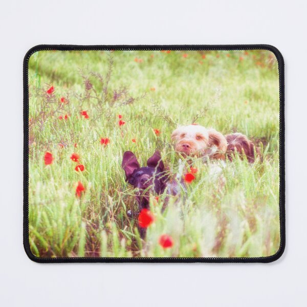 Item preview, Poppy Adventure Spinone designed and sold by FOLK ART FUSION by heidiannemorris.