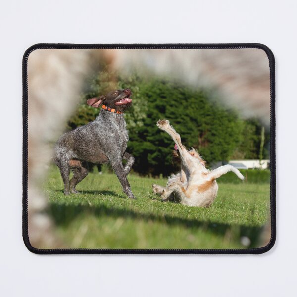 Item preview, Oops-A-Daisy Spinone designed and sold by FOLK ART FUSION by heidiannemorris.
