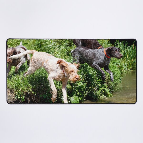 Item preview, River adventure Spinone by heidiannemorris designed and sold by FOLK ART FUSION by heidiannemorris.