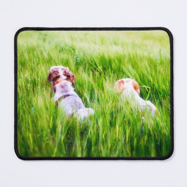 Item preview, Barley field adventure Spinoni by heidiannemorris designed and sold by FOLK ART FUSION by heidiannemorris.