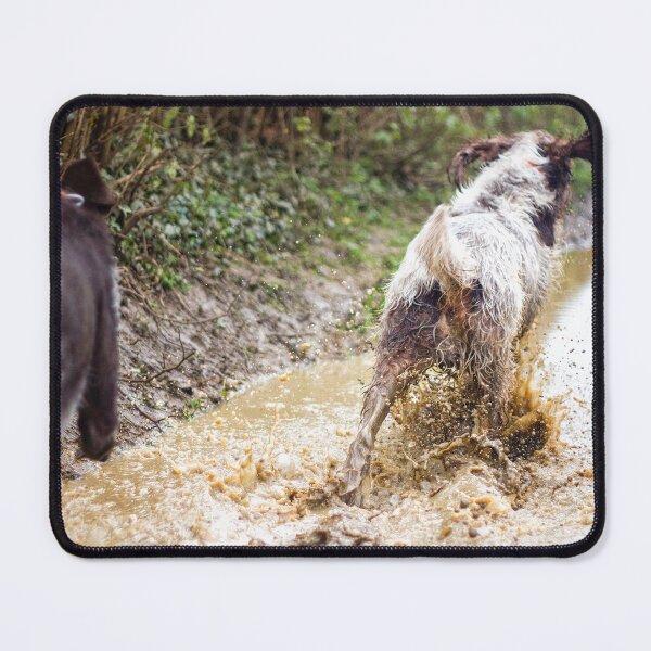 Item preview, Splashing through a puddle Spinone designed and sold by FOLK ART FUSION.
