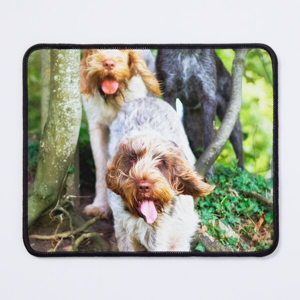 Item preview, Windy in the woods Spinone by heidiannemorris designed and sold by FOLK ART FUSION by heidiannemorris.