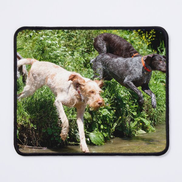 Item preview, River adventure Spinone by heidiannemorris designed and sold by FOLK ART FUSION by heidiannemorris.