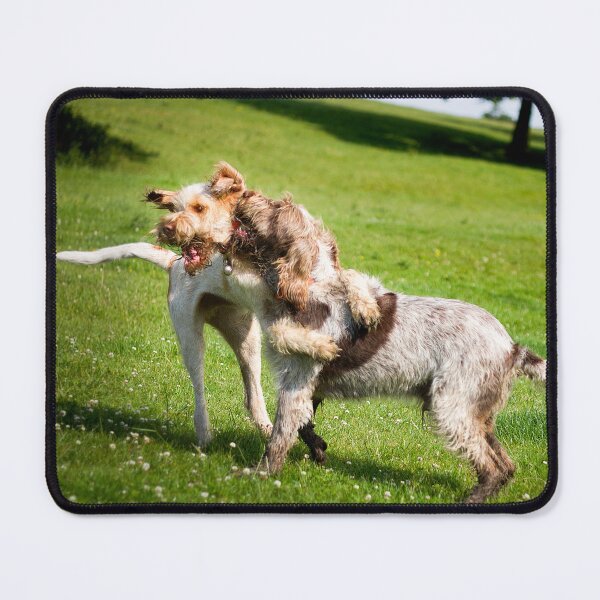Item preview, Play fight in the fields Spinoni by heidiannemorris designed and sold by FOLK ART FUSION by heidiannemorris.