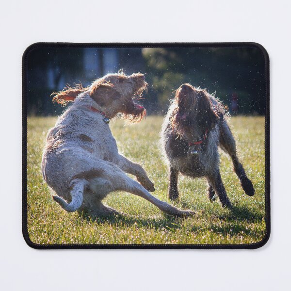 Item preview, Play Fight in the fields Spinoni by heidiannemorris designed and sold by FOLK ART FUSION by heidiannemorris.