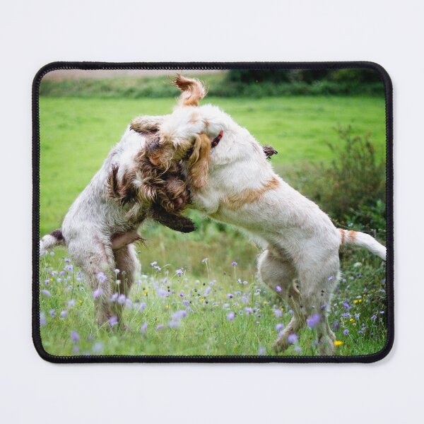Item preview, Wildflower play fight Spinoni by heidiannemorris designed and sold by FOLK ART FUSION by heidiannemorris.