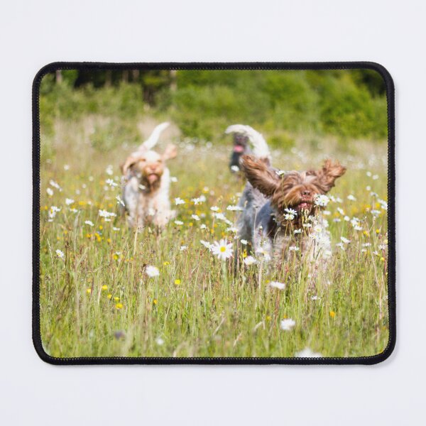 Item preview, Wild daisies Spinoni by heidiannemorris designed and sold by FOLK ART FUSION by heidiannemorris.