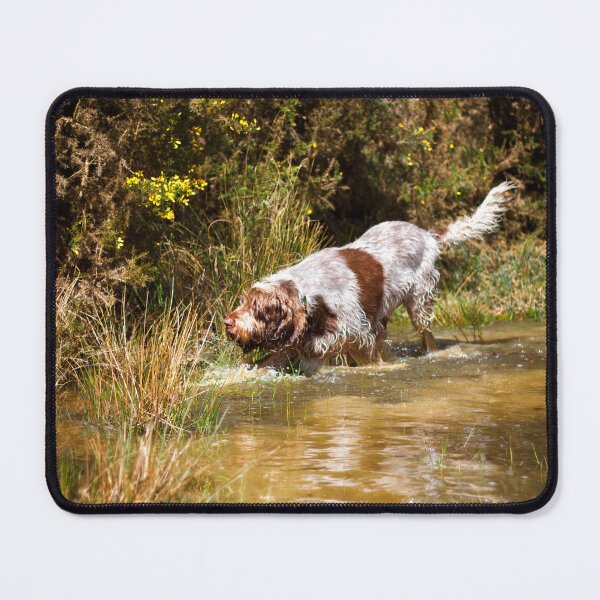 Item preview, Water stalking Spinone designed and sold by FOLK ART FUSION by heidiannemorris.