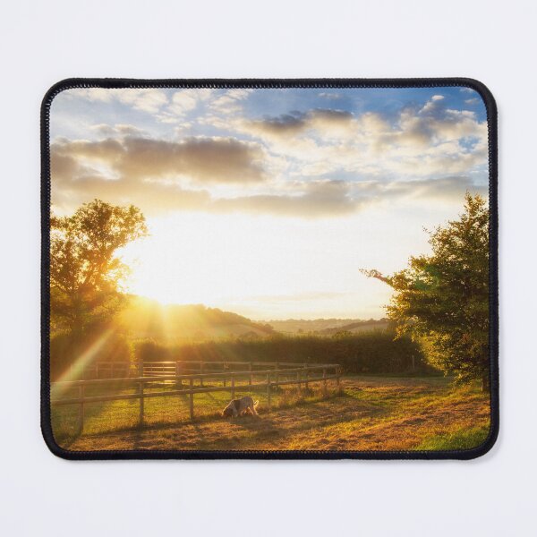 Item preview, Italian Spinone in the Sunset designed and sold by FOLK ART FUSION by heidiannemorris.