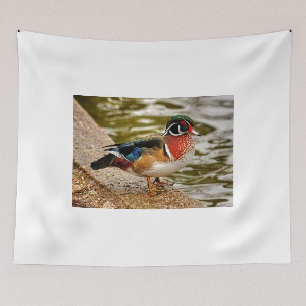 Item preview, Wood Duck designed and sold by AnnDixon.
