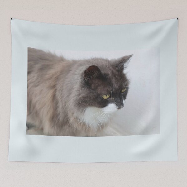 Item preview, Norwegian Forest Cat  designed and sold by Acid-Rain.