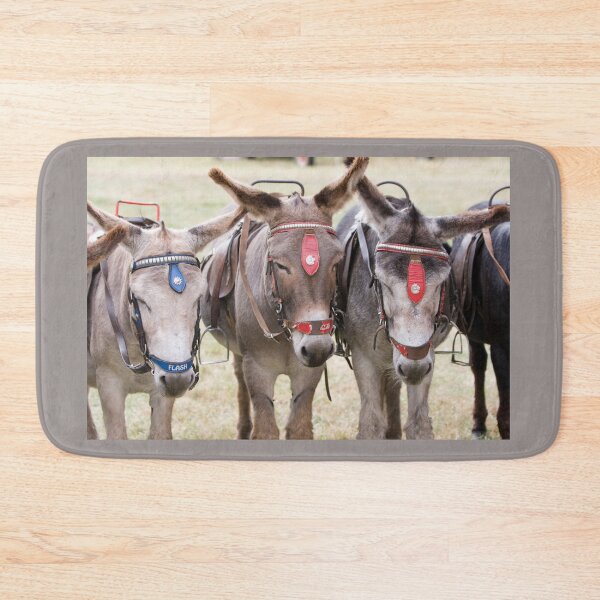 Item preview, Three Donkeys Lined Up Together designed and sold by Paul Thompson Photography.